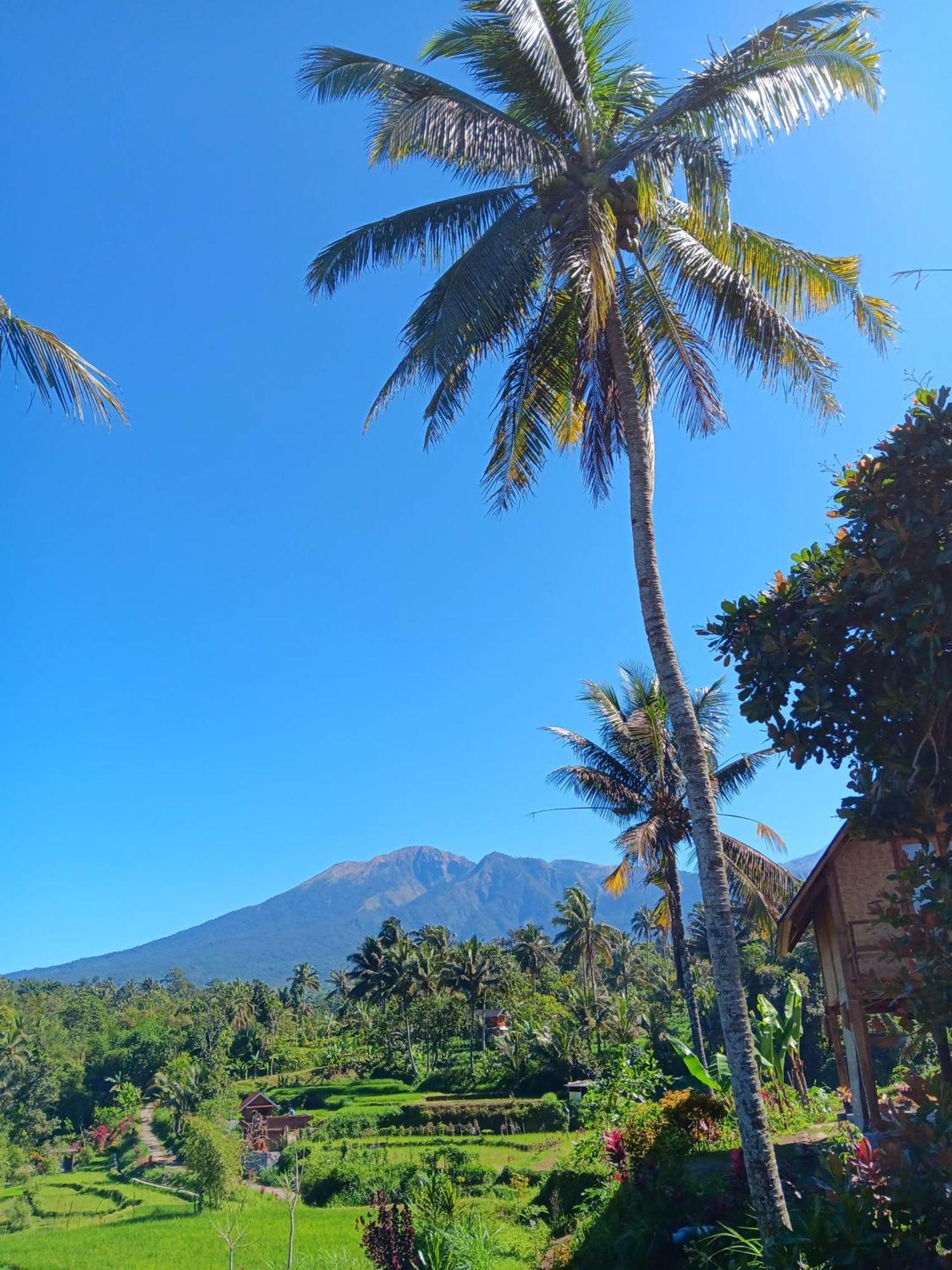 Dewi Rinjani Homestay เตเตบาตู ภายนอก รูปภาพ