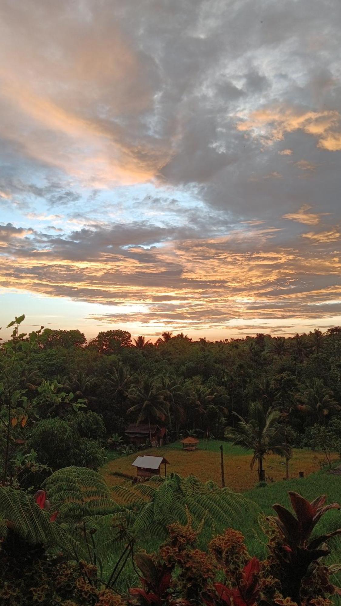 Dewi Rinjani Homestay เตเตบาตู ภายนอก รูปภาพ